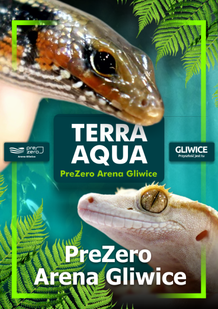 TERRA AQUA GLIWICE / TARGI AKWARYSTYKI / PIĘKNO RĘKODZIEŁA  / WYSTAWA PAJĄKÓW